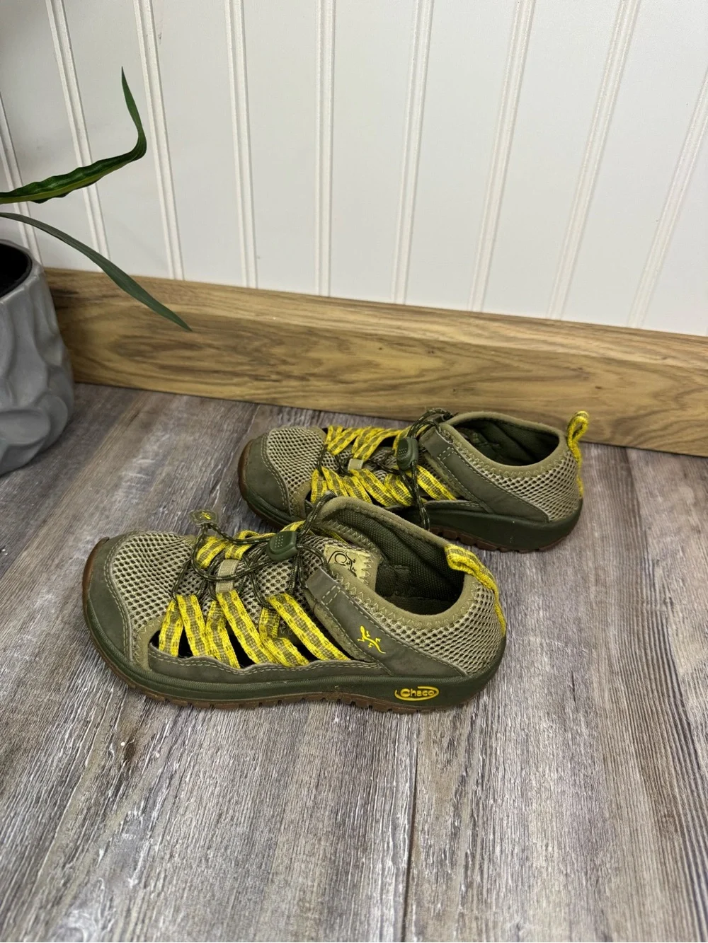 Chaco avocado green